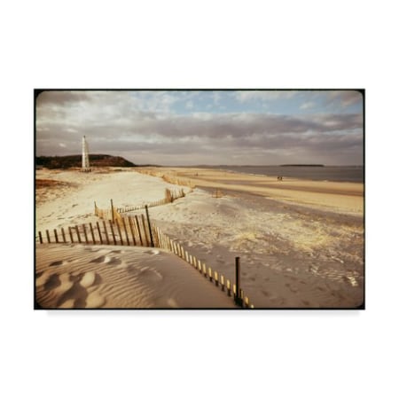 American Eyes 'Crane Beach' Canvas Art,22x32